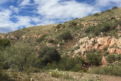 Mescal-Canyon-2-1