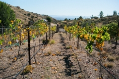 MescalCanyon-1015-1