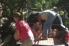 unloading2
